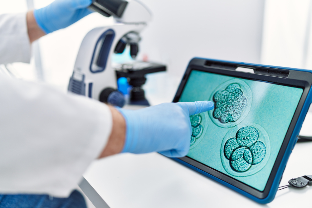 middle age grey haired man wearing scientist uniform looking embryology image touchpad at laboratory